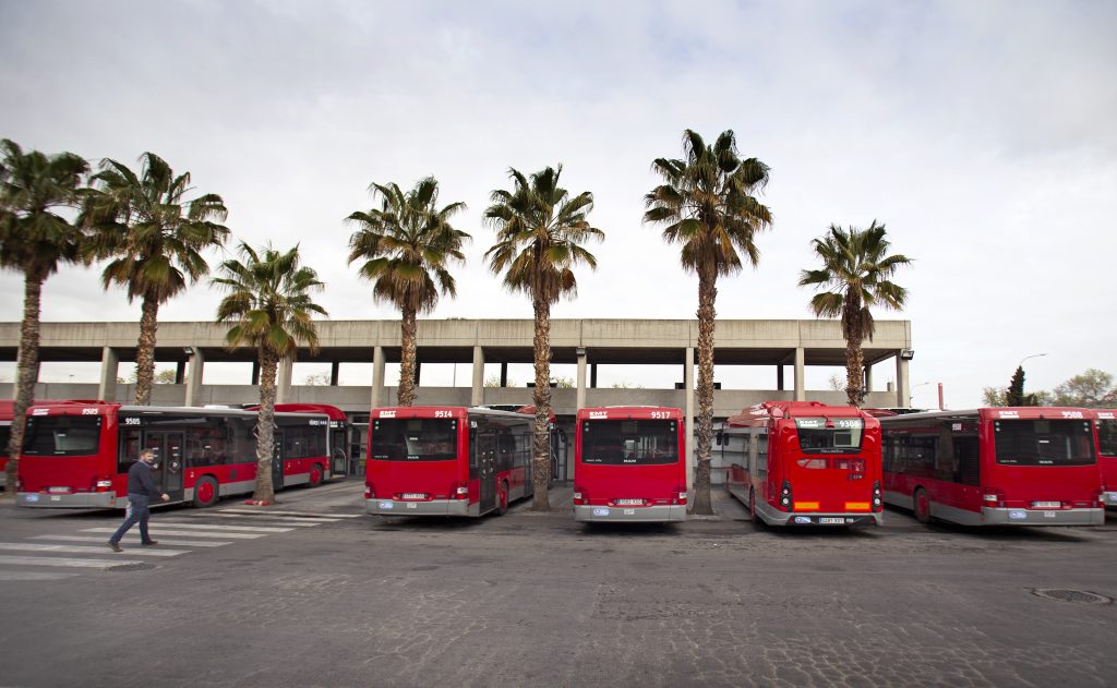 Imagen de varias lineas de autobús en las cocheras de EMT