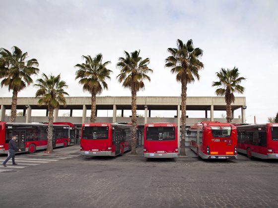 Imagen de varias lineas de autobús en las cocheras de EMT