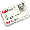 La tarjeta EMT Mascota vista desde arriba con un usuario ficticio de ejemplo